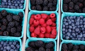 anti-angiogenesis weight loss